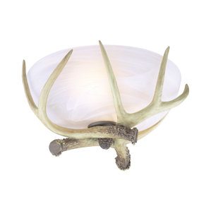 antler lighting | wayfair antler lighting | wayfair