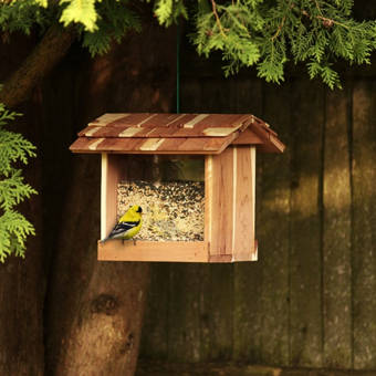Cedarcreekwoodshop Open Platform Tray Bird Feeder Reviews