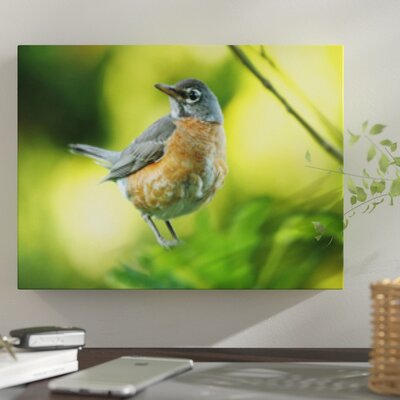 'Birds' Photographic Print on Canvas East Urban Home Size: 20