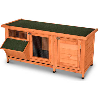 wooden indoor guinea pig cage