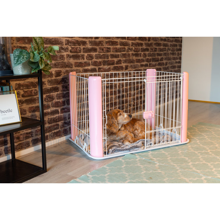 crate divider argos