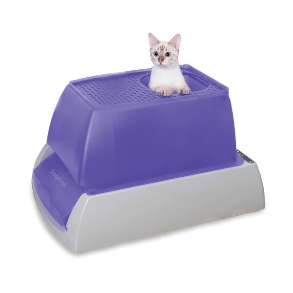 PetSafe ScoopFree Sensitive Crystal Cat Litter 10 LBS Pack of 2 White 