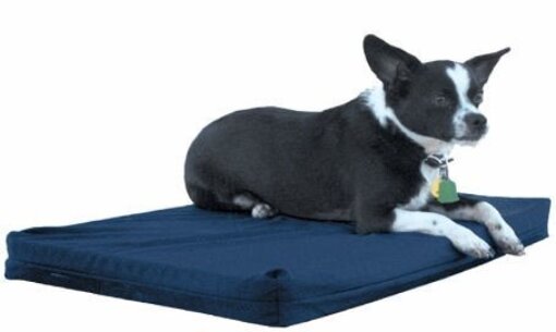 small dog mat