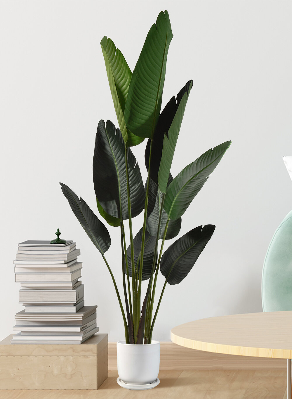 Bayou Breeze Banana Leaf Plant in Pot & Reviews | Wayfair