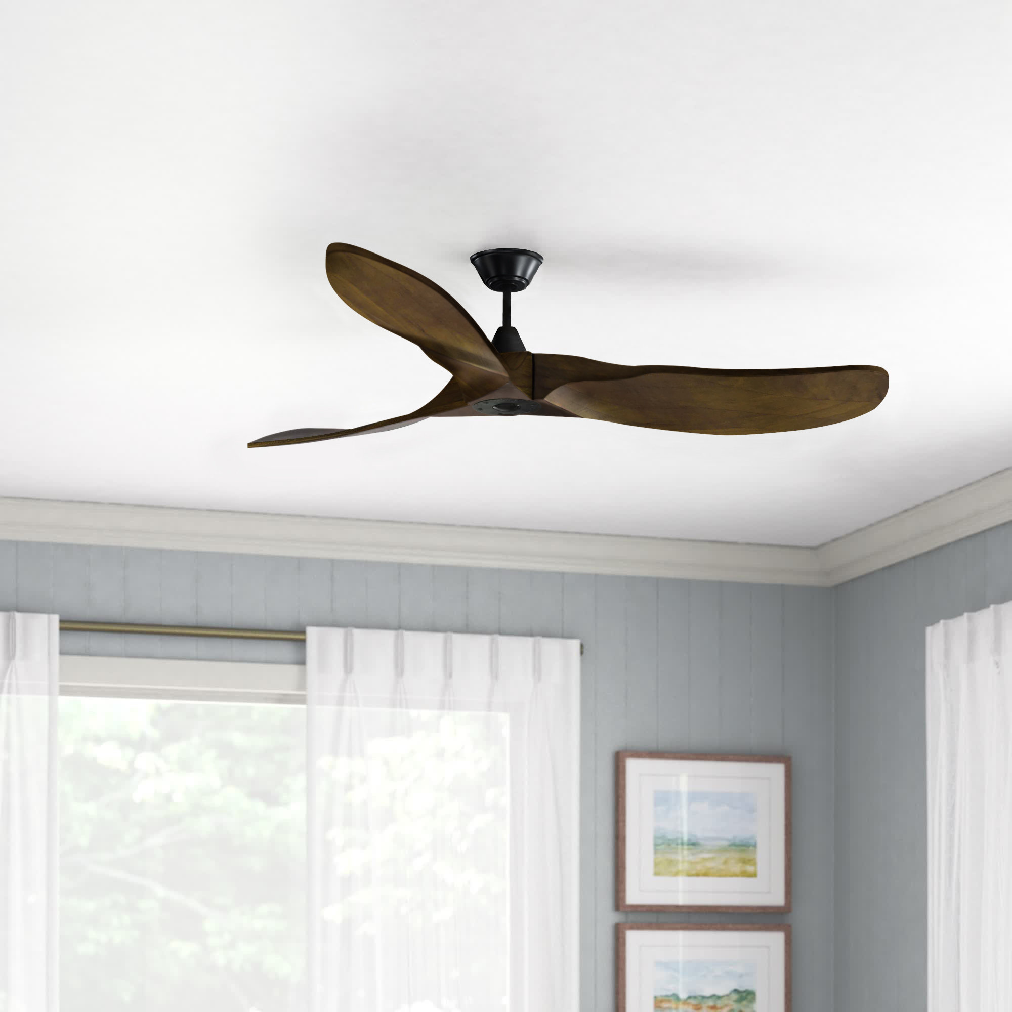 Wayfair | Coastal Ceiling Fans You'll 