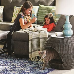Deluxe Wicker End Table Cat Bed
