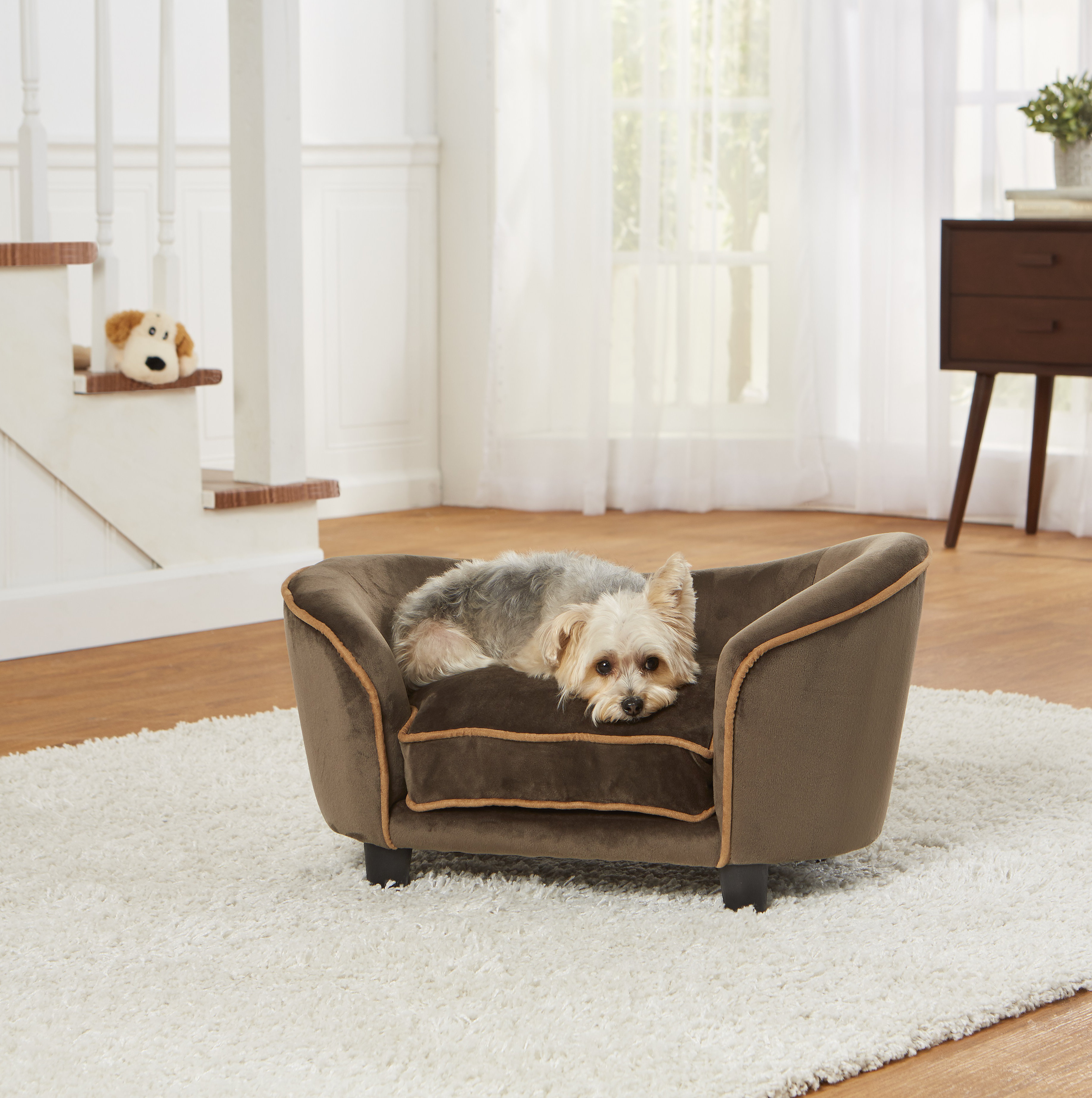 natural canned dog food