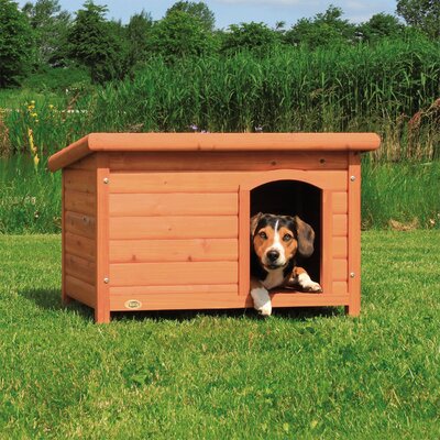 Dog Houses You'll Love | Wayfair