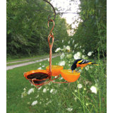 Decorative Songbird Essentials Bird Feeders You Ll Love In 2020