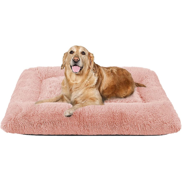inexpensive pet beds