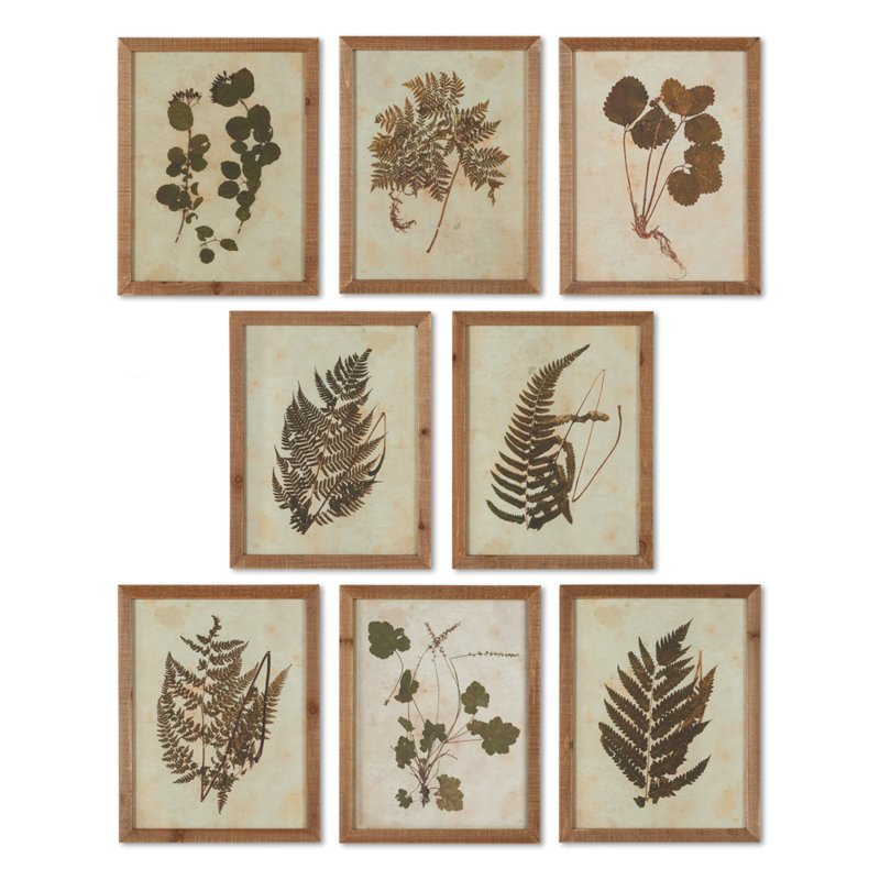 Botanical Specimen 8 Piece Framed Graphic Art Set