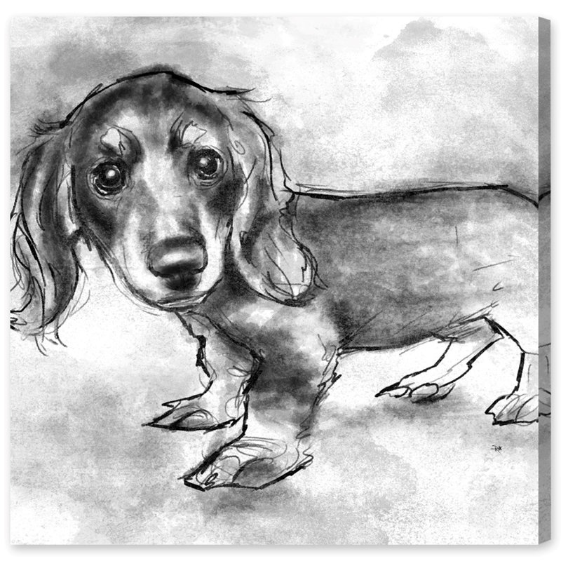 Art Remedy Dogs And Puppies Dachshund Puppy Drawing Print On Wrapped Canvas Wayfair Free, printable puppy coloring pictures are fun, but they also help kids develop many important skills! dogs and puppies dachshund puppy drawing print on wrapped canvas
