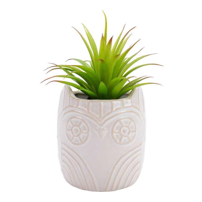 Hallmark Home Gifts Quiroga Owl Hanging Ceramic Wall Planter Hallmark Home Gifts Quiroga Owl Hanging Ceramic Wall Planter Reviews Wayfair