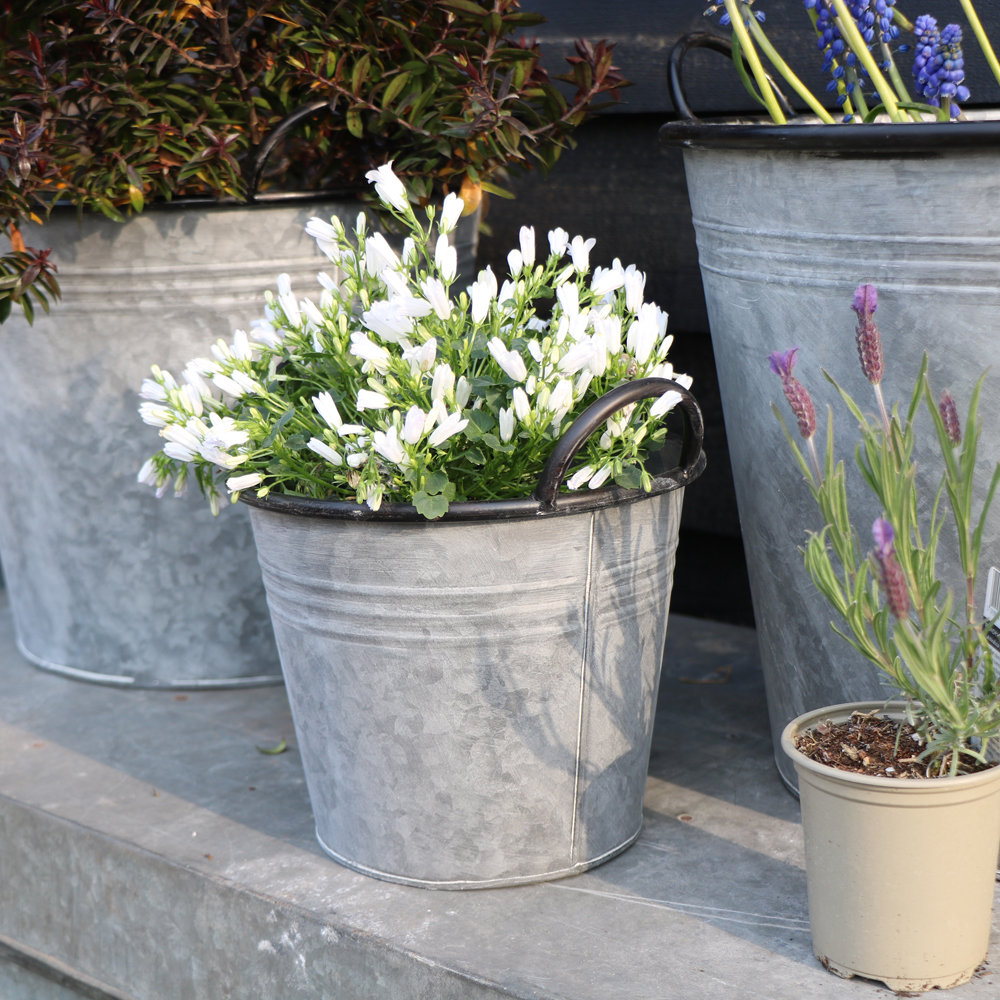 Boyland Metal Planter Box