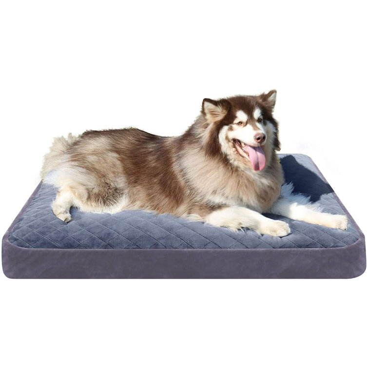 48 inch dog crate bed clearance