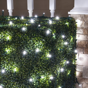 Christmas Lights For Bushes Wayfair 100 Lamps Led Christmas Net Light