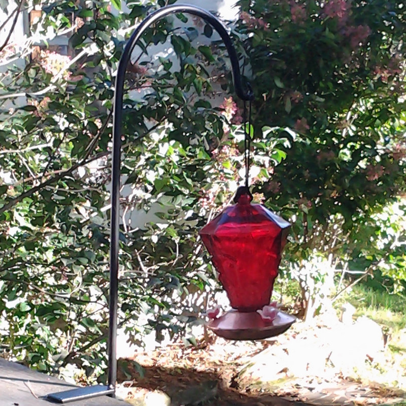 Artscapes Deck Hook Reviews Wayfair