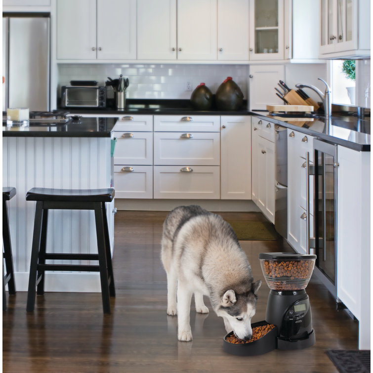 aspen pet automatic pet feeder