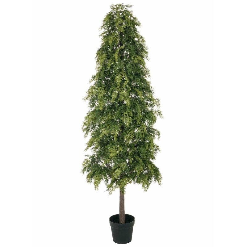 The Holiday Aisle Soft Pine Tree in Pot | Wayfair