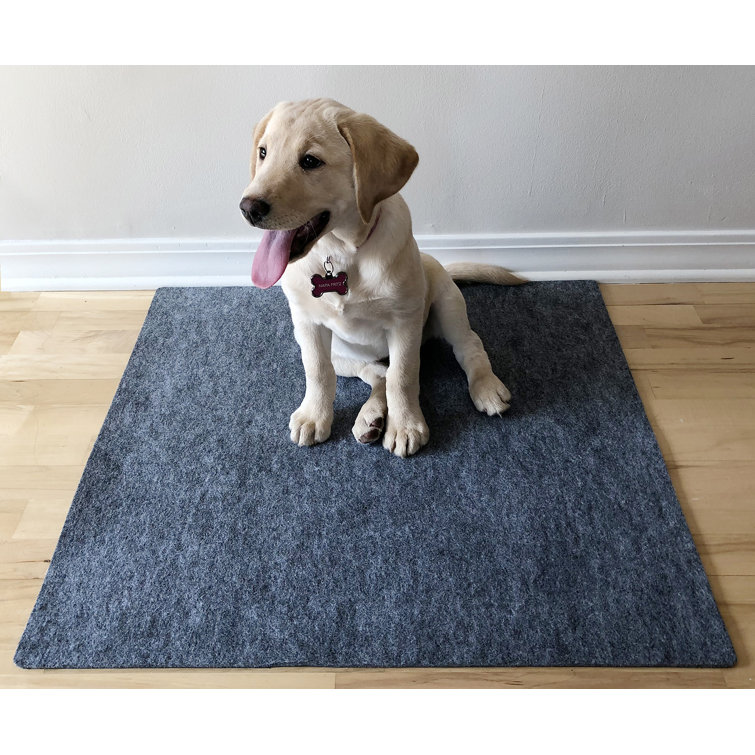large potty pads