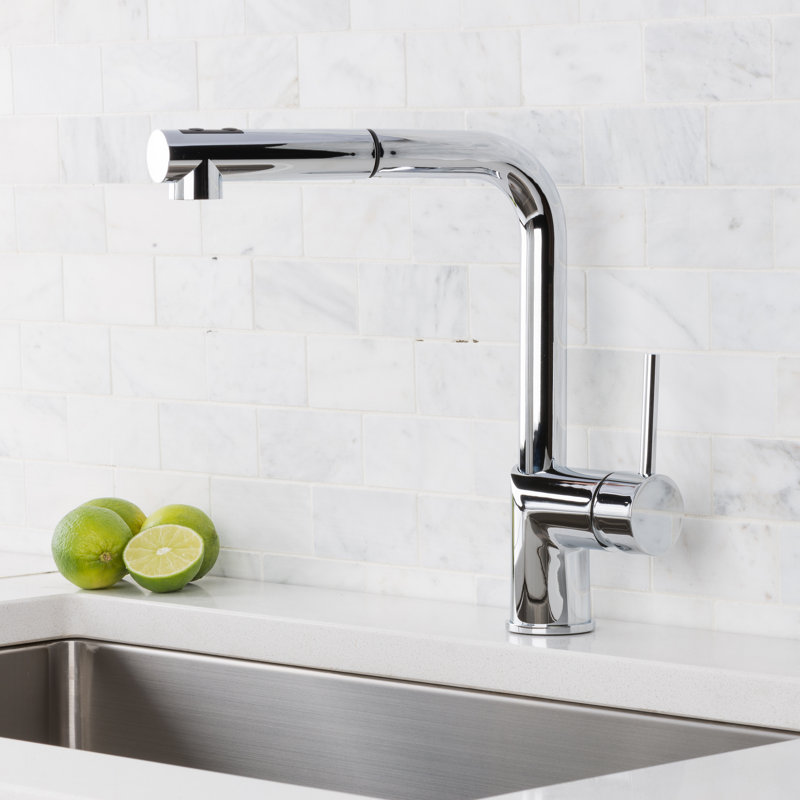 Hahn Pull Out Single Handle Kitchen Faucet Reviews Wayfair
