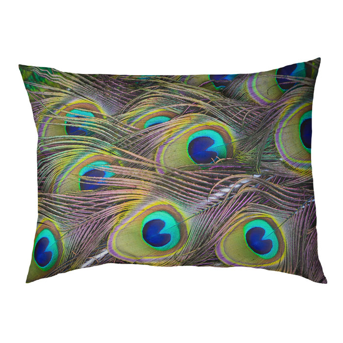 Tucker Murphy Pet Burien Peacock Feathers Designer Pillow Wayfair
