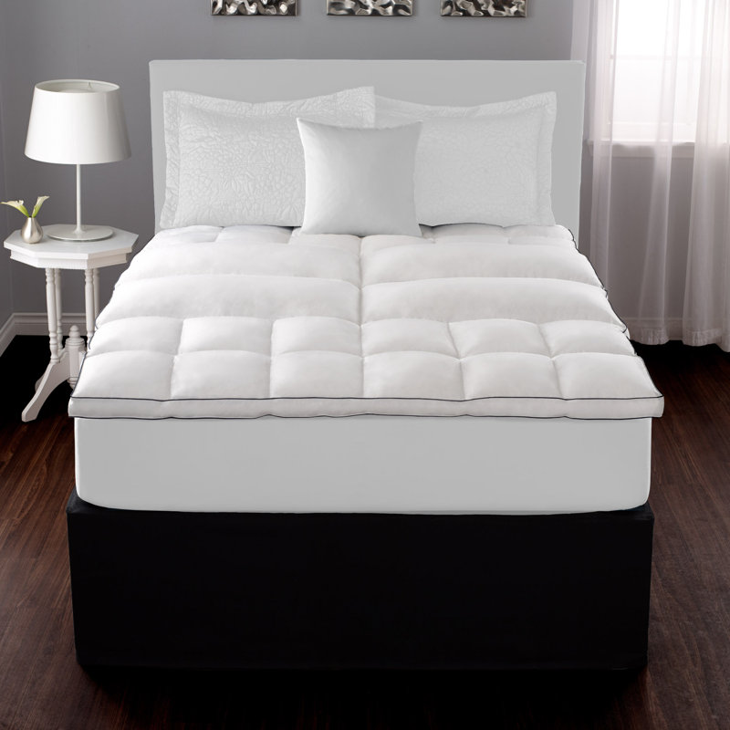 Pacific Coast Feather Deluxe Lumbar 2 Feather And Cotton Mattress