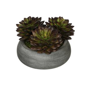 Artificial Pointed Echeveria Plant in Ceramic Bowl