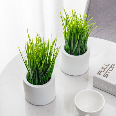 2-Piece Artificial Grass Plants In Pots