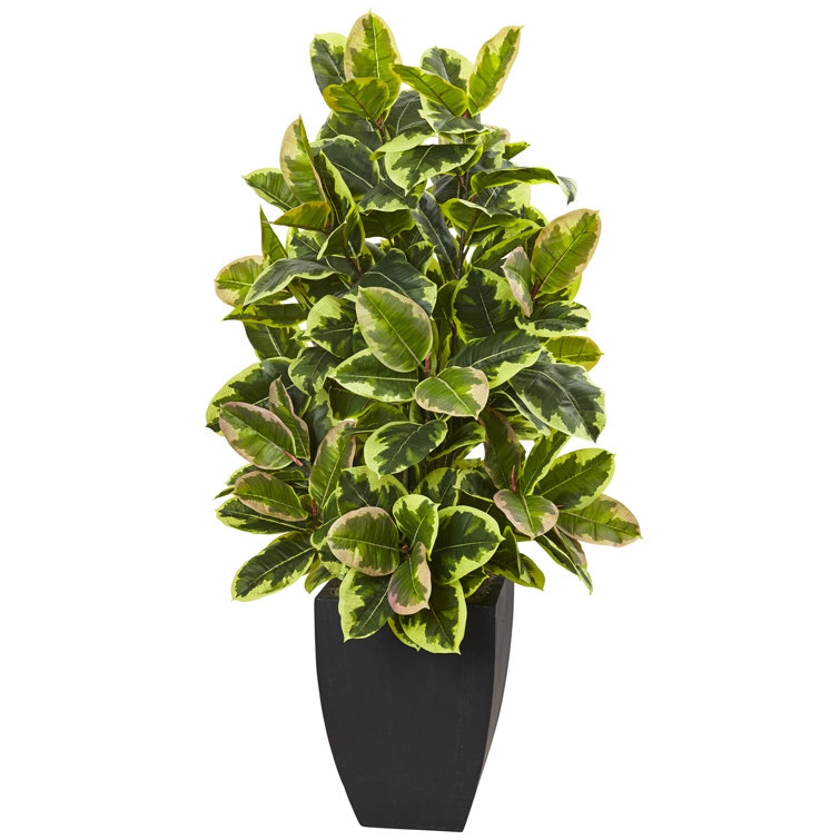 Primrue 34.5" Artificial Foliage Plant in Planter & Reviews Wayfair