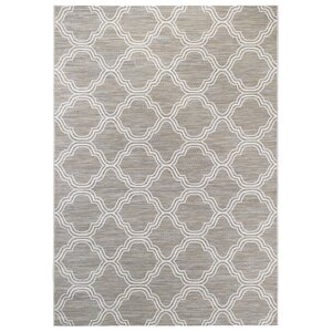 Brown/Gray/White Indoor/Outdoor Area Rug