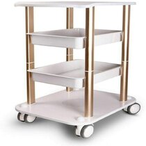 ZKS-KS Hospital Trolley Metal Holder Spa Tattoo Rolling Trolley Medical Supplies Rack,Medical Cart Tool 5 Tier Beauty Salon Cart with Drawers Silver Colo Medical Utility Cart with Universal Wheel 