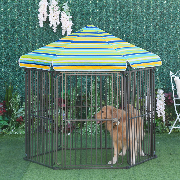 double dog pen