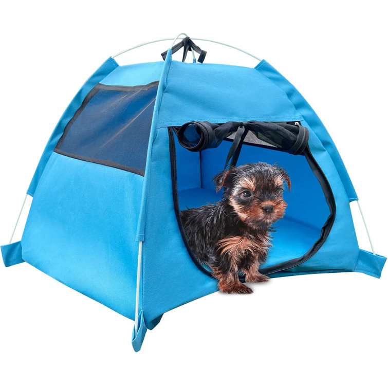 mini dog tent
