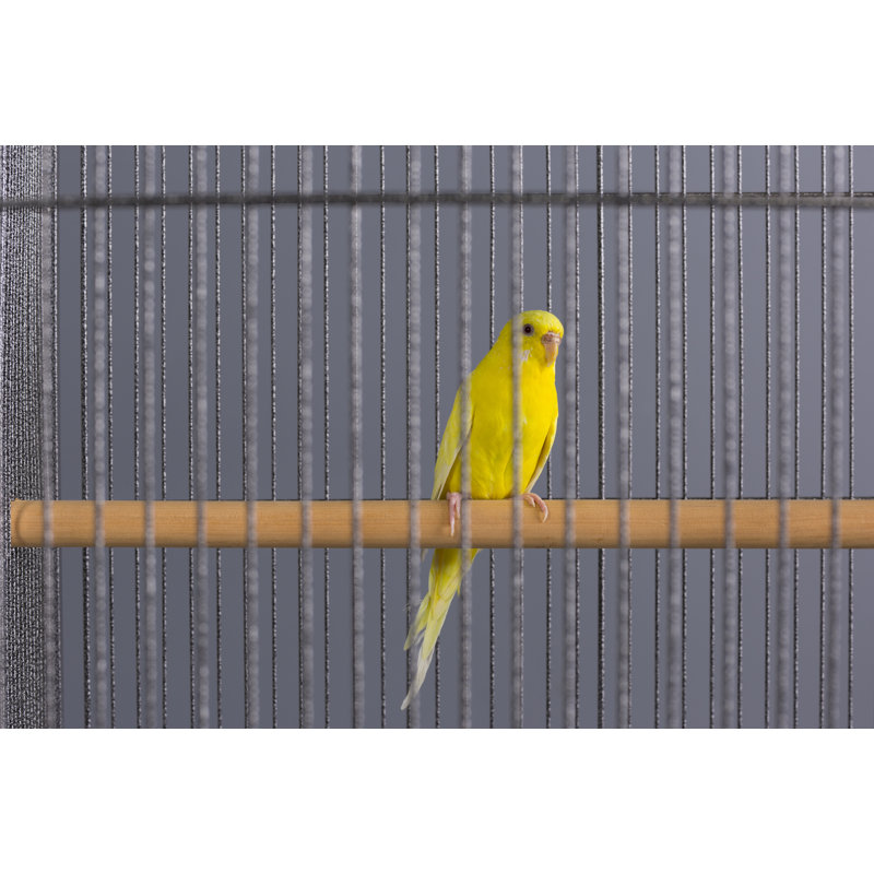 Tucker Murphy Pet Thea Flight Bird Cage With Storage Shelf