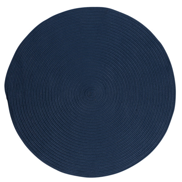 Winston Porter Mcintyre Braided Blue Indoor Outdoor Area Rug Reviews Wayfair