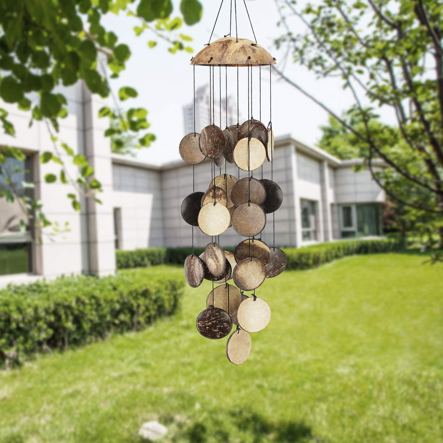 Handmade exotic seashell windchimes