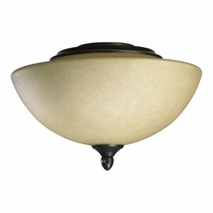 Salon 2-Light Bowl Ceiling Fan Light Kit