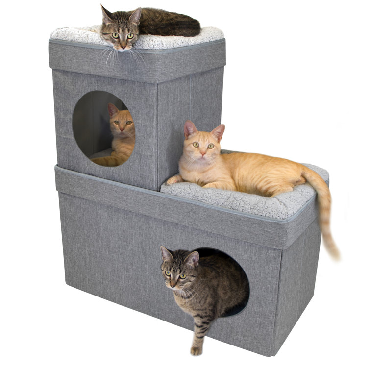wayfair cat beds