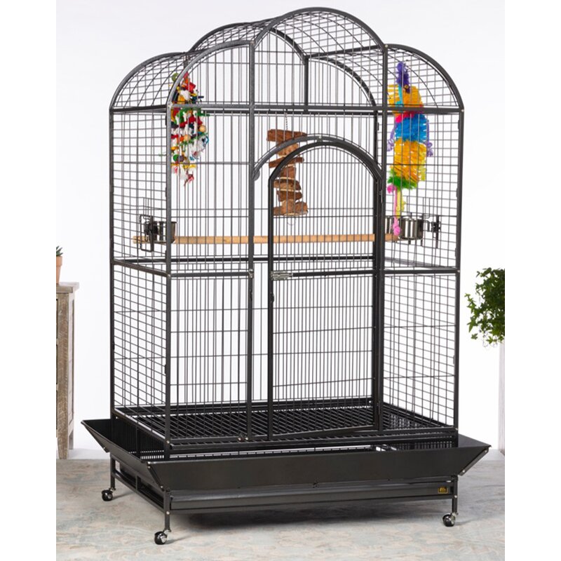 macaw bird cages