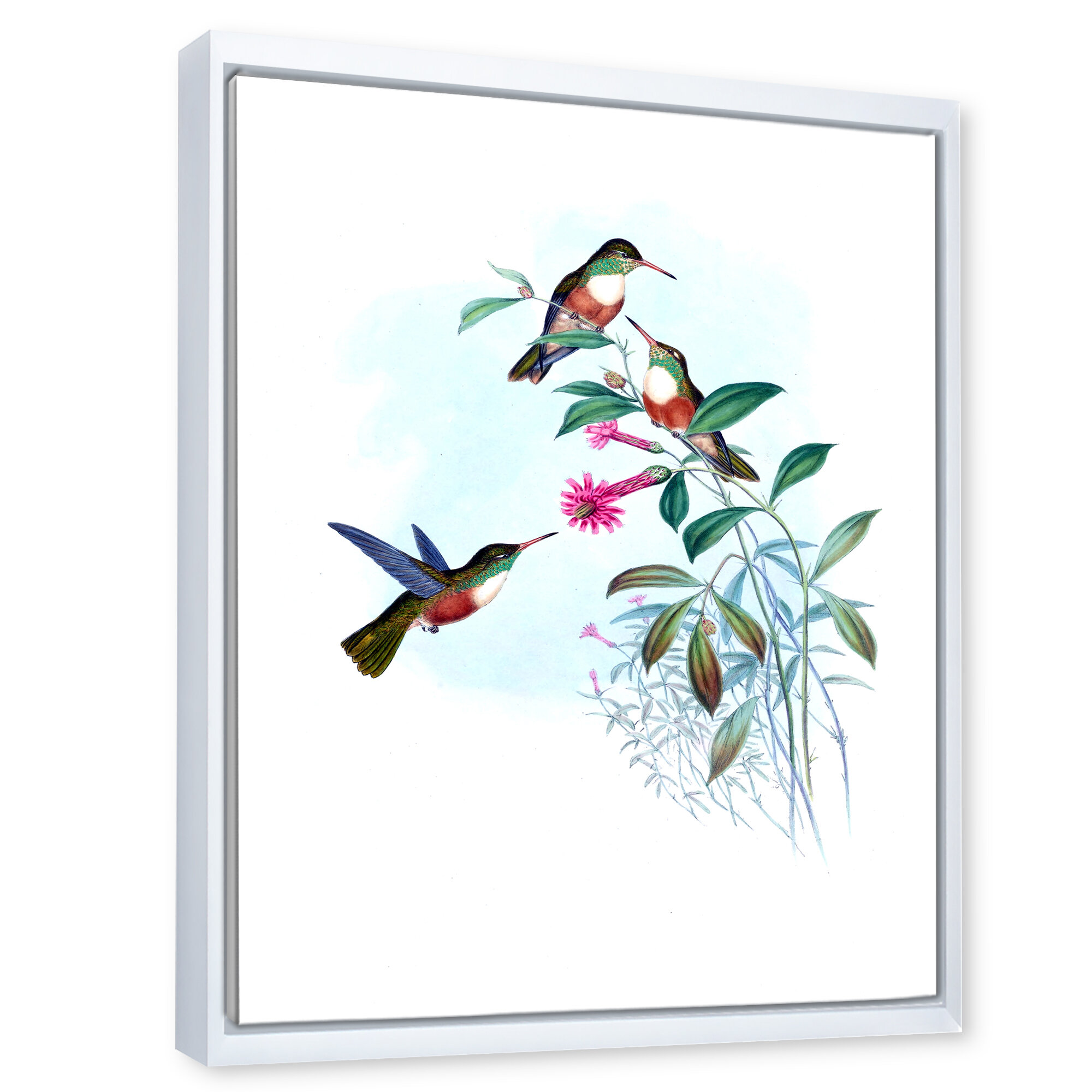 Hummingbirds Color Canvas Textured Print Reproduction 