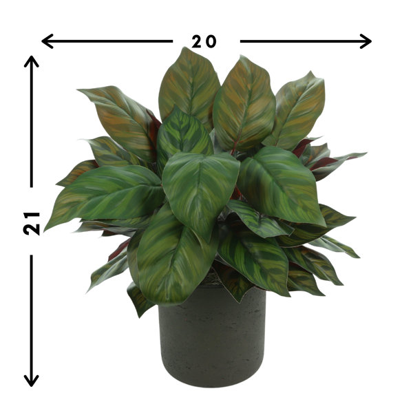 Creative Displays, Inc. 14�� Artificial Evergreen Plant in