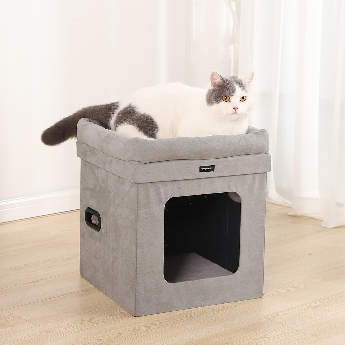 portable cat house