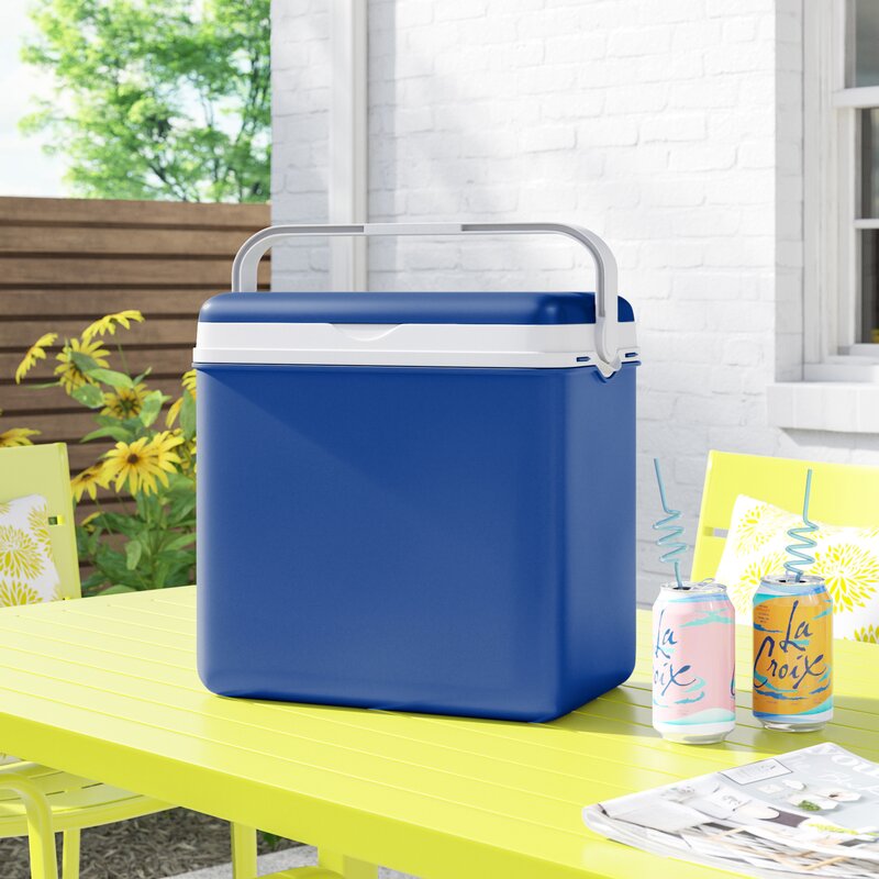 Wayfair Basics 24 L Handheld Cooler & Reviews | Wayfair.co.uk