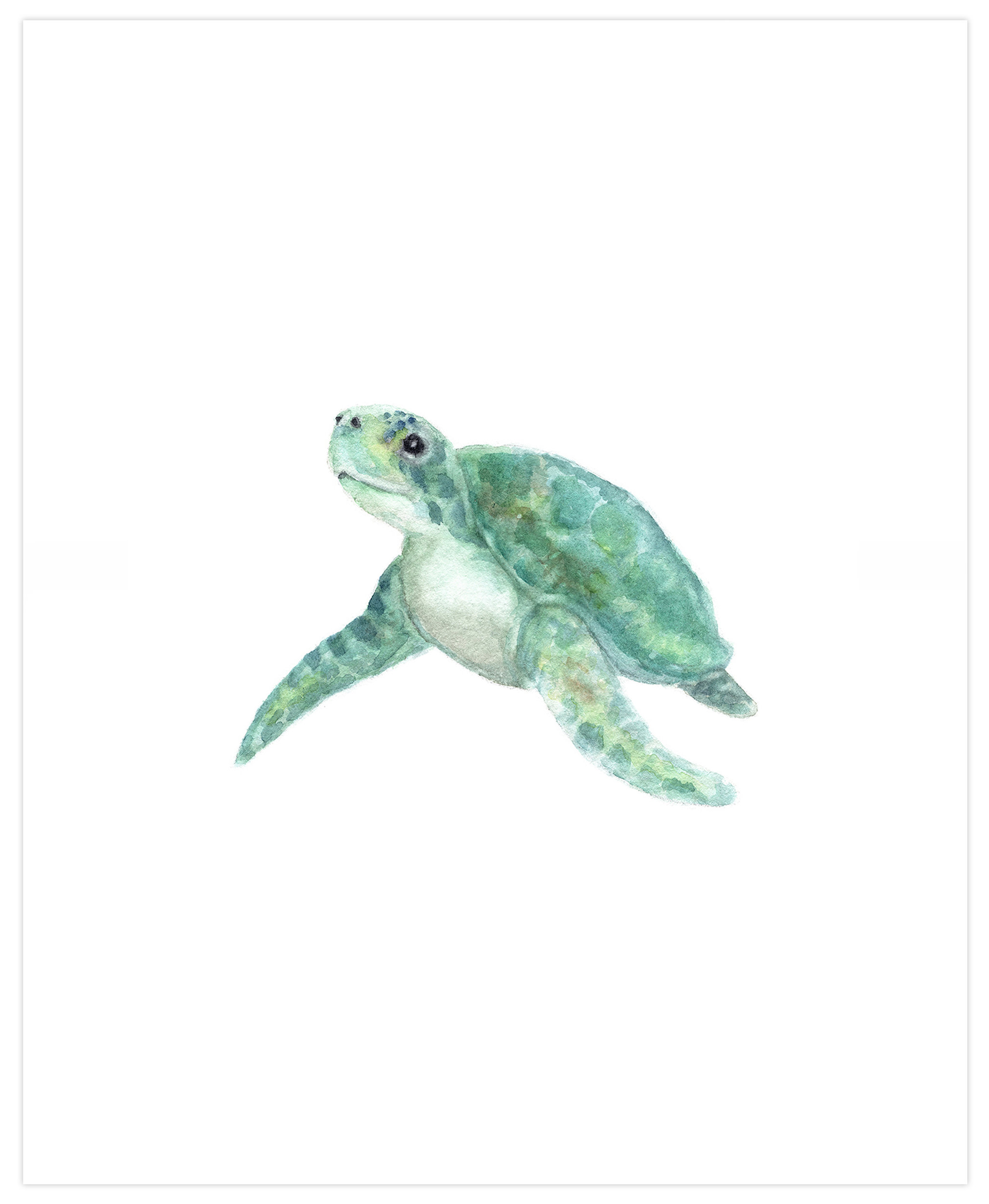sea turtle baby stuff