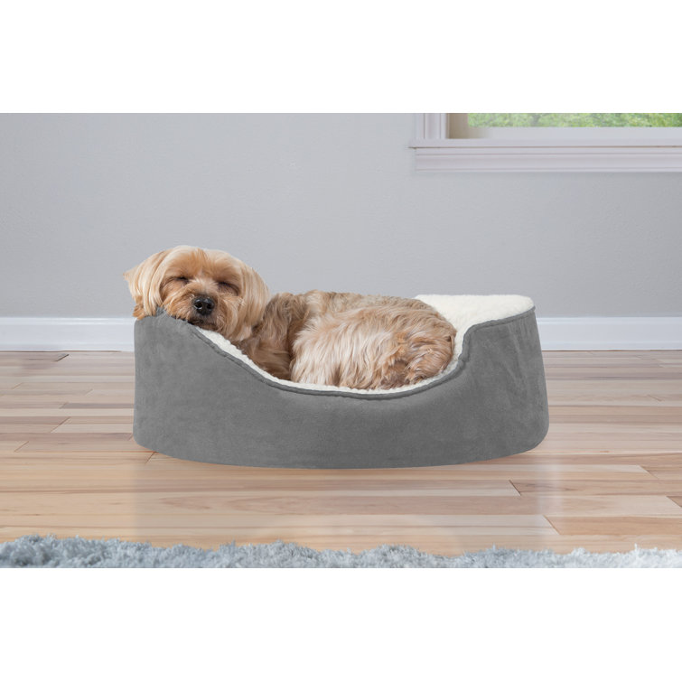 oval dog pillow