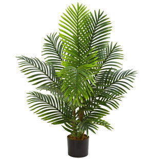 Palm Tree Table Wayfair Paradise Floor Palm Tree In Planter