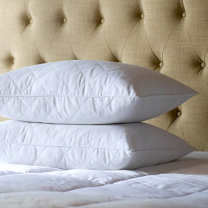 Posturepedic Feathers Pillow (Set of 2) by Sealy