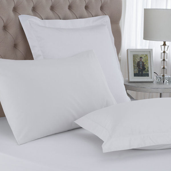 Large Square Pillows Wayfair Co Uk