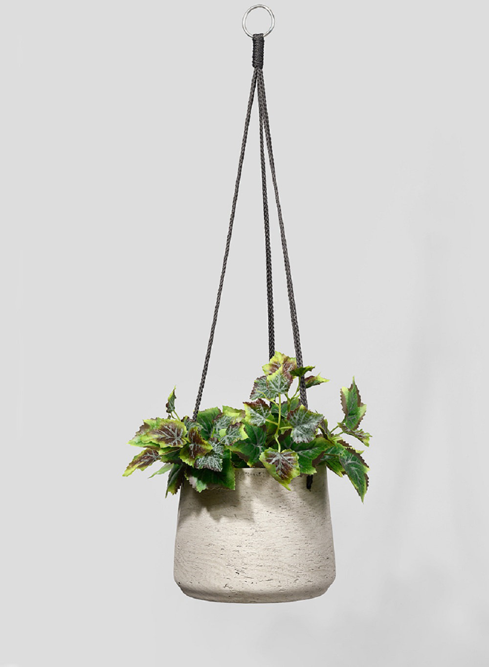 wayfair standing planter on Gracie Oaks Refton Concrete Hanging Planter Reviews Wayfair